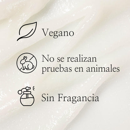 Gel exfoliante coreano de flor de albaricon